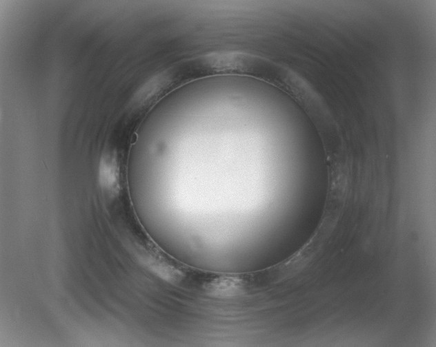 X0000080780124200612151439