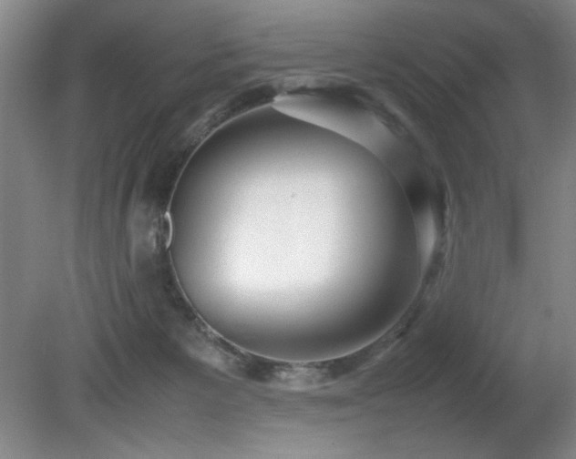 X0000080780125200612151439