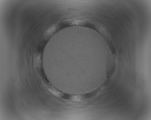 X0000080780127200612151439