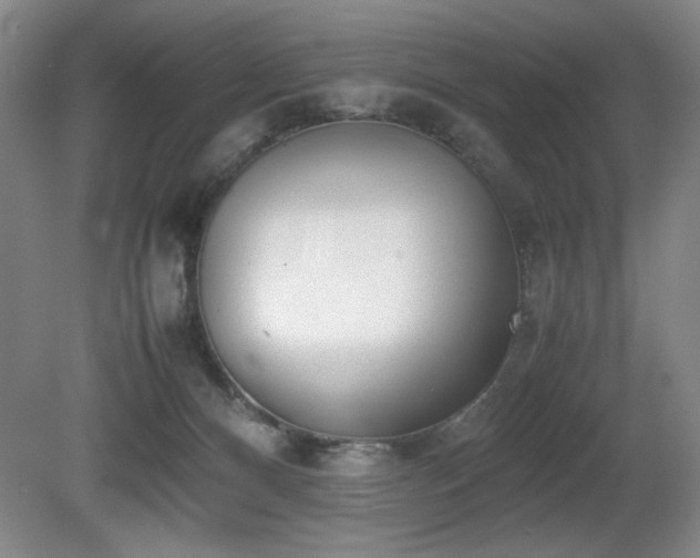 X0000080780128200612151439