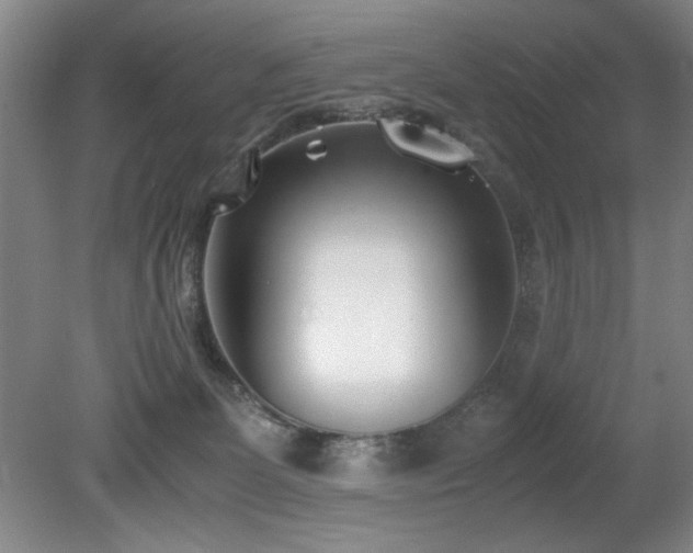 X0000080780131200612151439