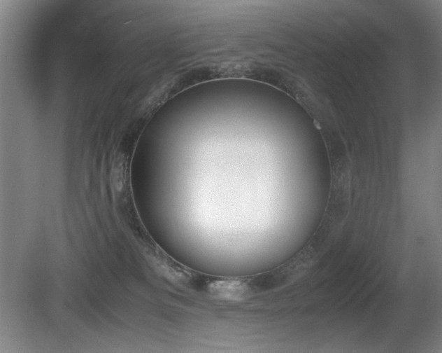 X0000080780133200612151439