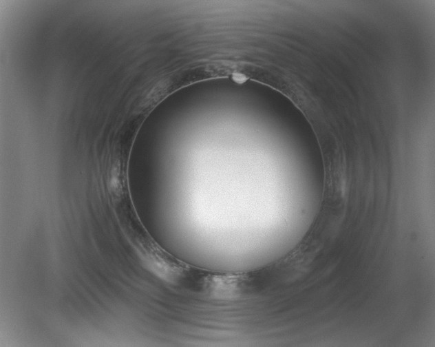 X0000080780134200612151439