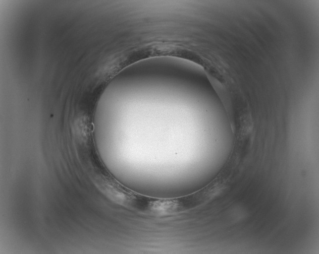 X0000080780135200612151439