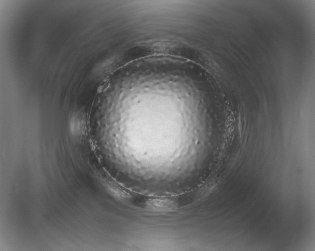 X0000080780137200612151438