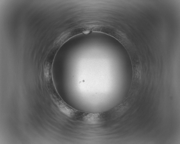 X0000080780138200612151438