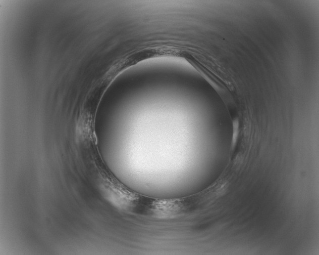 X0000080780141200612151438