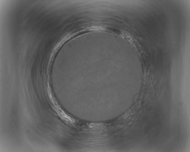 X0000080780145200612151438