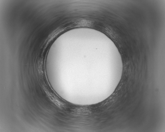 X0000080780146200612151438