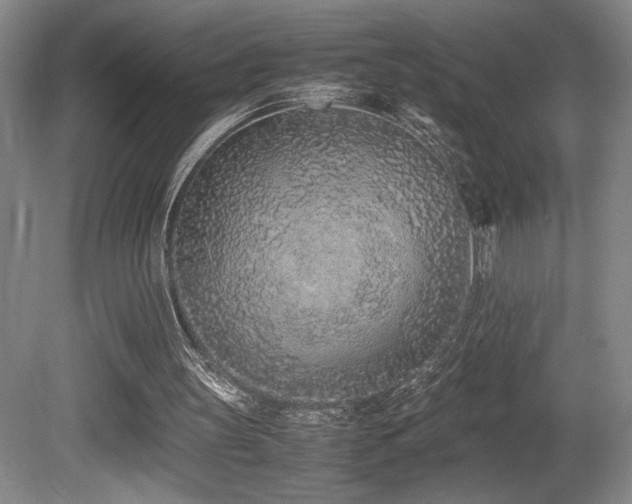 X0000080780147200612151438