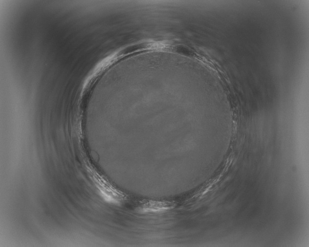 X0000080780149200612151438