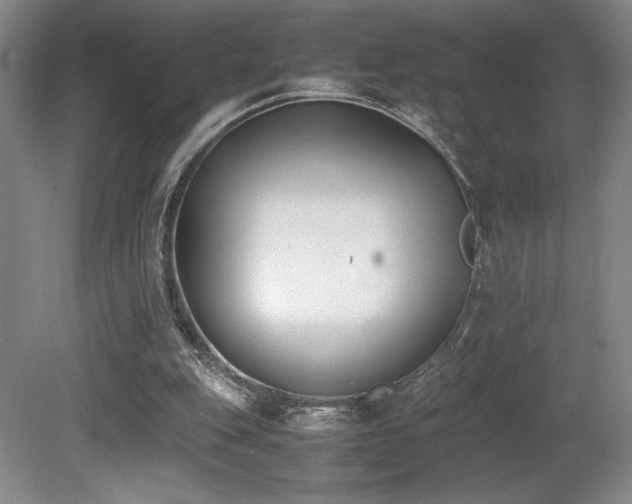 X0000080780151200612151438