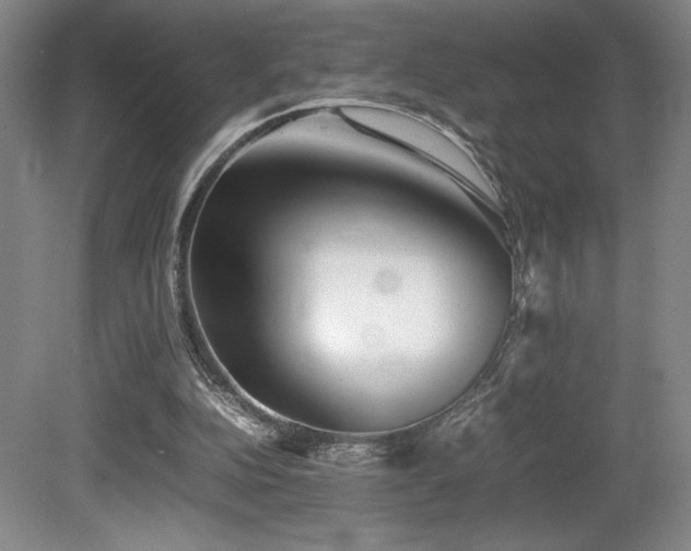 X0000080780152200612151438