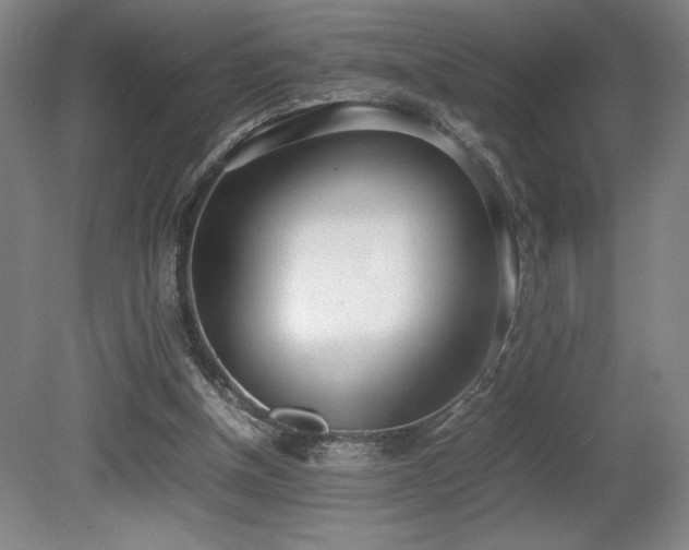 X0000080780154200612151438