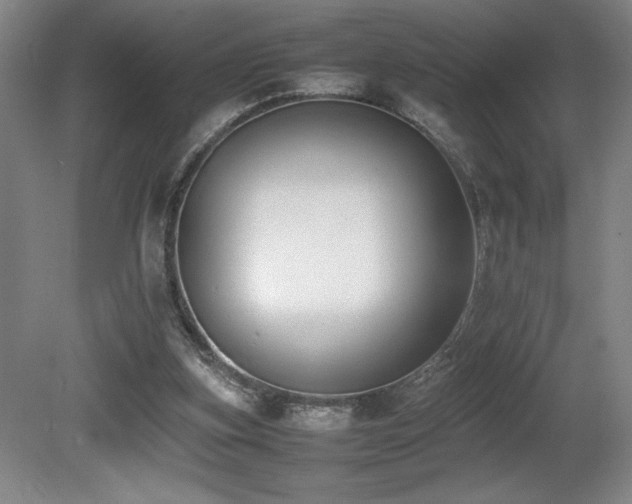 X0000080780155200612151438