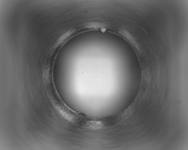 X0000080780159200612151438