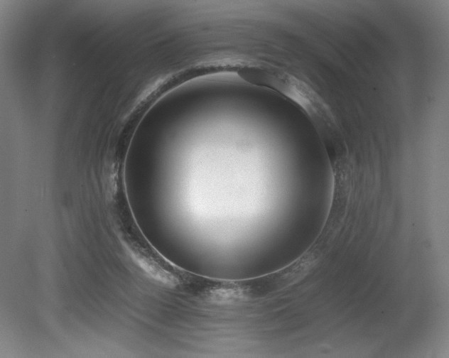 X0000080780160200612151438