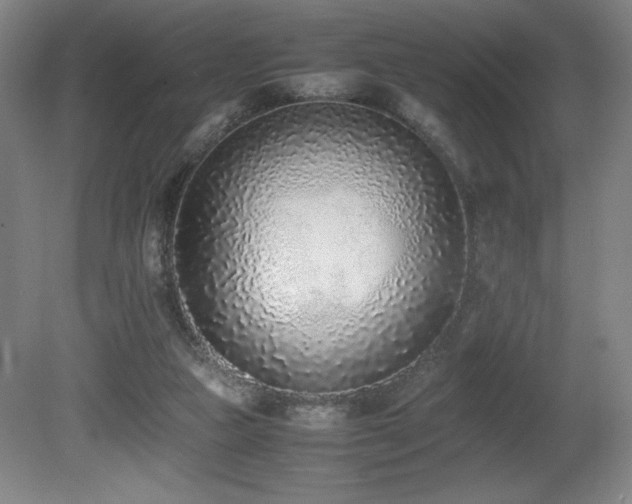 X0000080780161200612151438