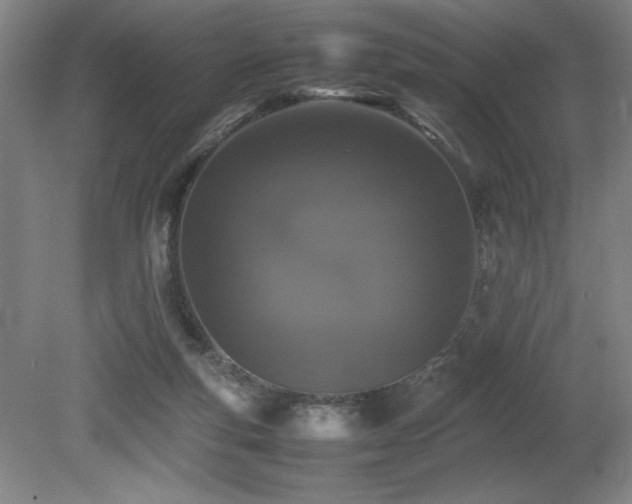 X0000080780163200612151438