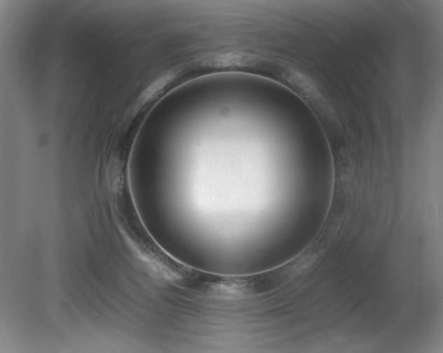 X0000080780164200612151438