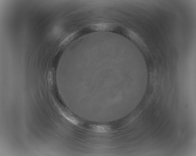 X0000080780165200612151438