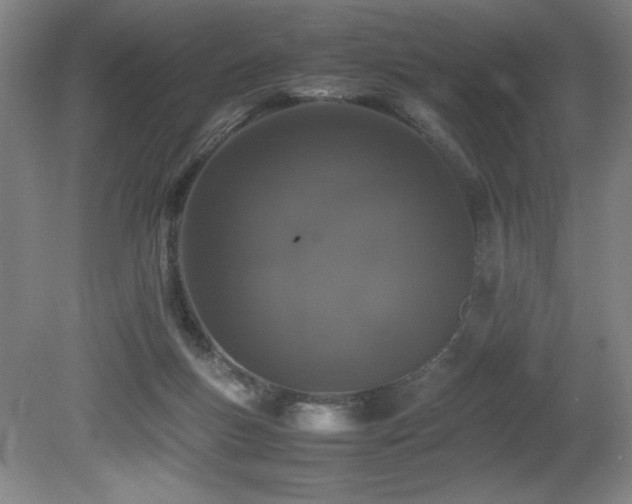 X0000080780167200612151438
