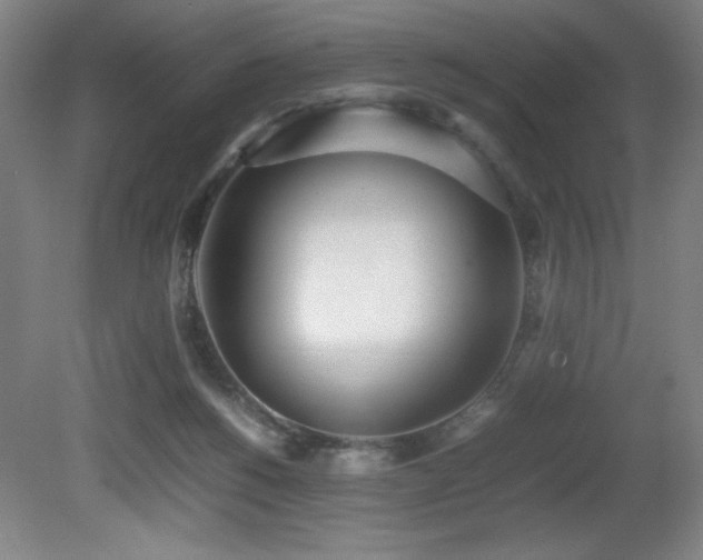 X0000080780168200612151438