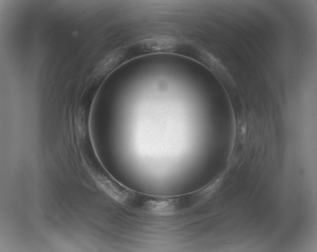 X0000080780170200612151438