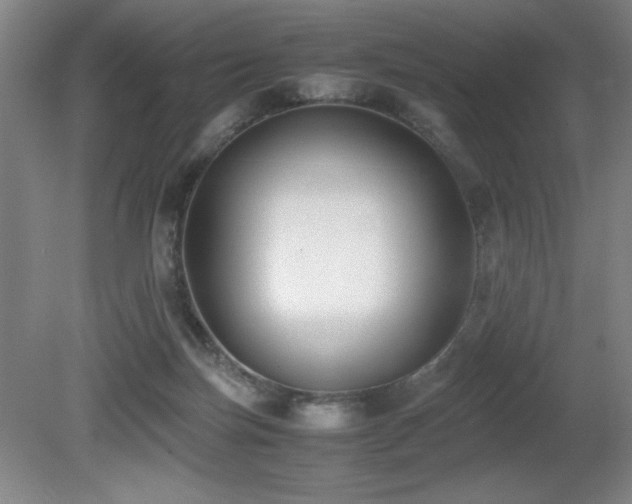 X0000080780171200612151438