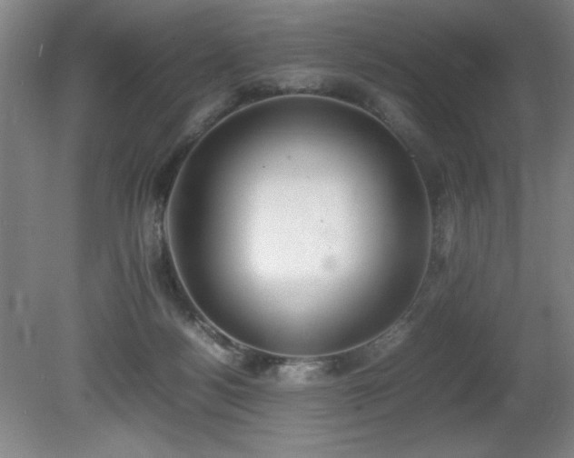 X0000080780172200612151438