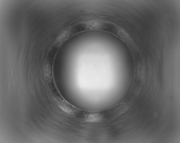 X0000080780173200612151438