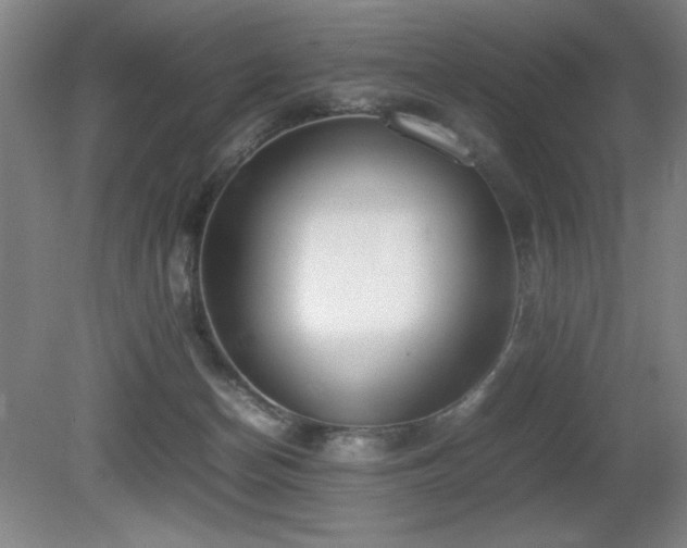 X0000080780174200612151438