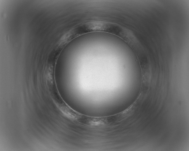 X0000080780175200612151438