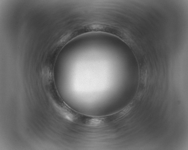 X0000080780176200612151438