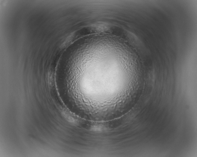 X0000080780177200612151438