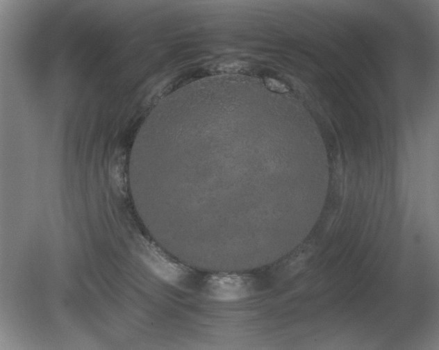 X0000080780181200612151438