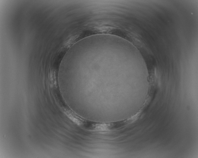 X0000080780182200612151438