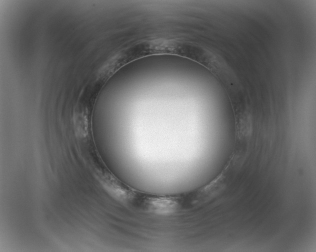 X0000080780183200612151438