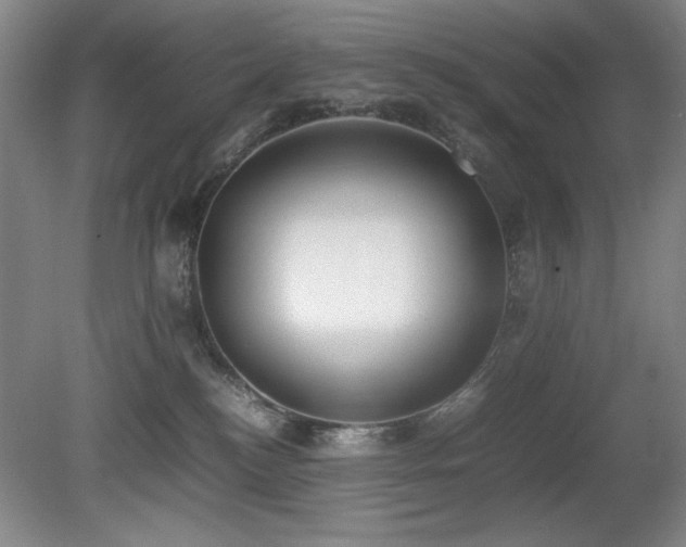 X0000080780184200612151438
