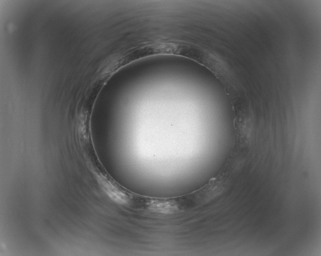 X0000080780185200612151438