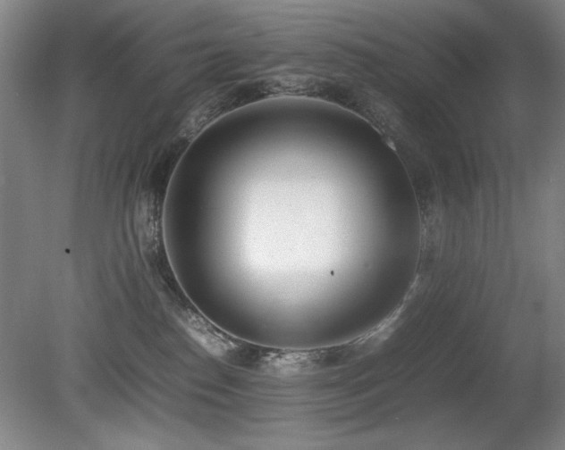 X0000080780186200612151438