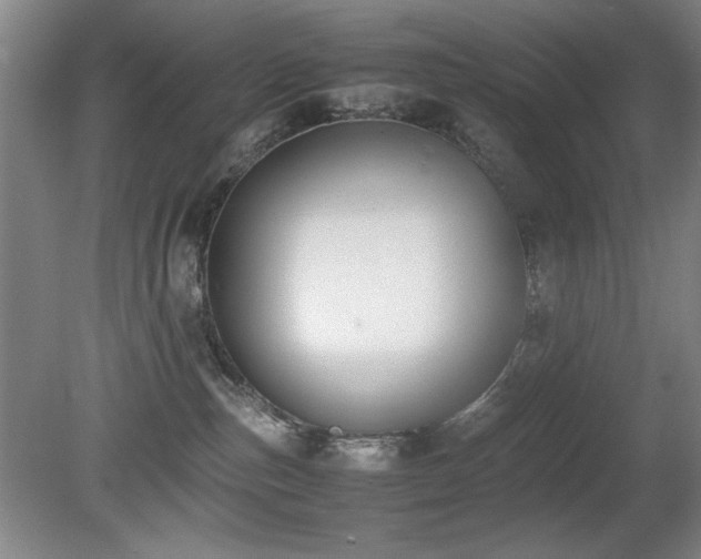 X0000080780187200612151438