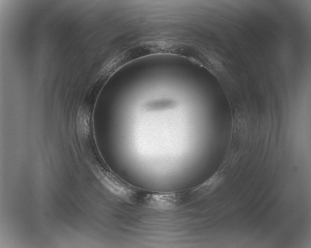 X0000080780188200612151438