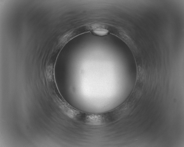 X0000080780189200612151438