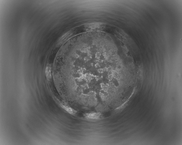 X0000080780191200612151438