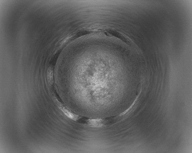 X0000080780192200612151438
