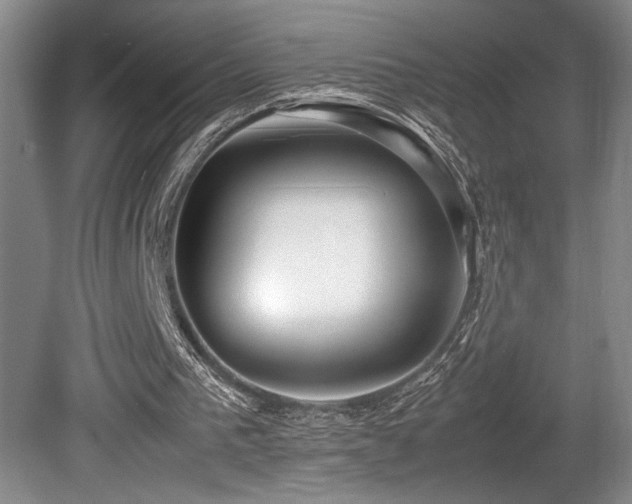 X0000080780193200612151438