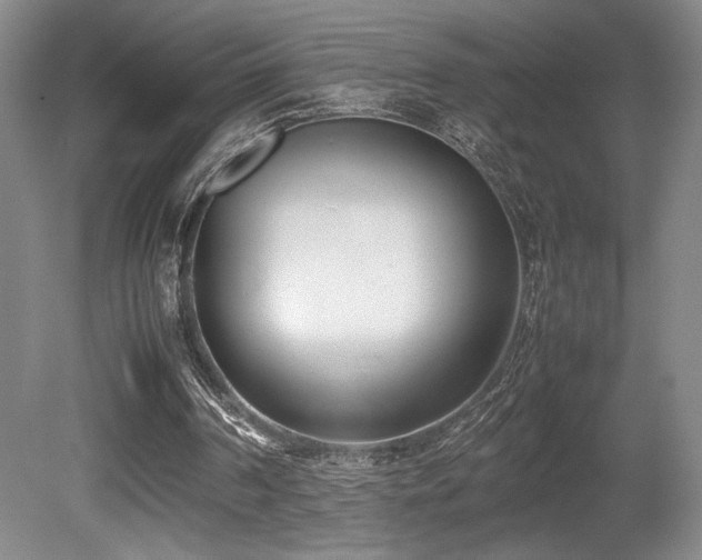 X0000080780194200612151438