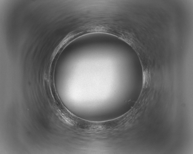 X0000080780195200612151438