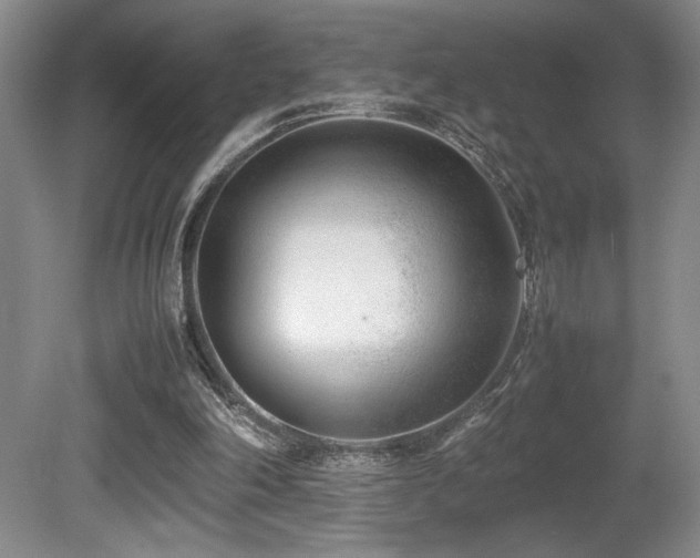 X0000080780198200612151437
